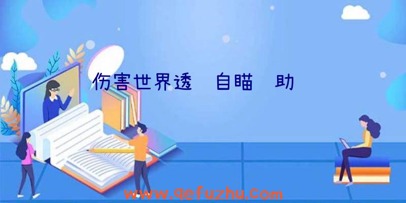 伤害世界透视自瞄辅助视频