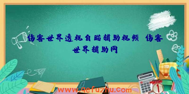 伤害世界透视自瞄辅助视频、伤害世界辅助网