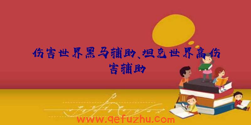 伤害世界黑马辅助、坦克世界高伤害辅助