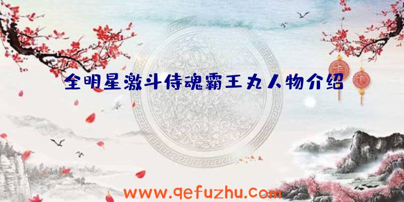 全明星激斗侍魂霸王丸人物介绍