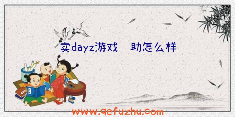卖dayz游戏辅助怎么样