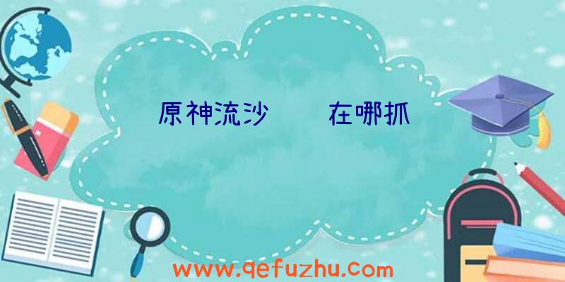 原神流沙鳗鳗在哪抓
