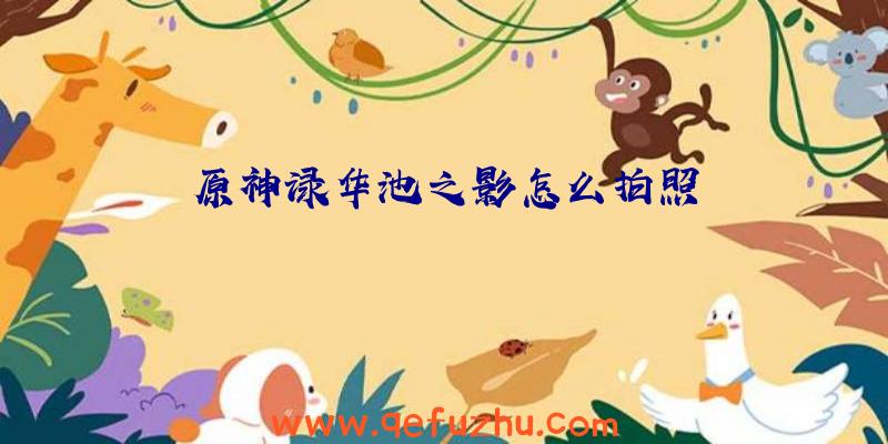 原神渌华池之影怎么拍照
