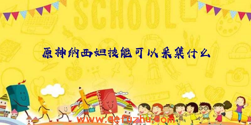 原神纳西妲技能可以采集什么