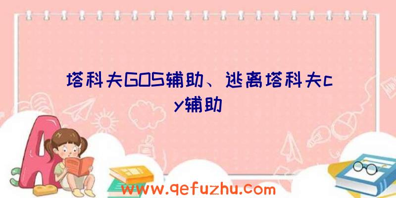 塔科夫GOS辅助、逃离塔科夫cy辅助