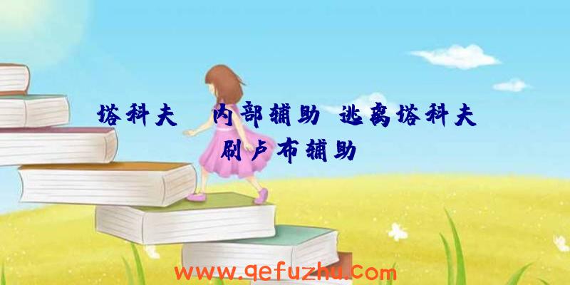 塔科夫RB内部辅助、逃离塔科夫刷卢布辅助