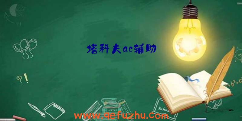 塔科夫ac辅助