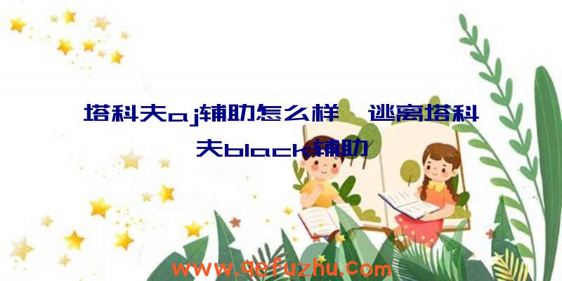 塔科夫aj辅助怎么样、逃离塔科夫black辅助