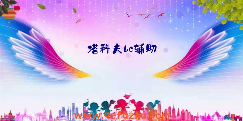 塔科夫bc辅助