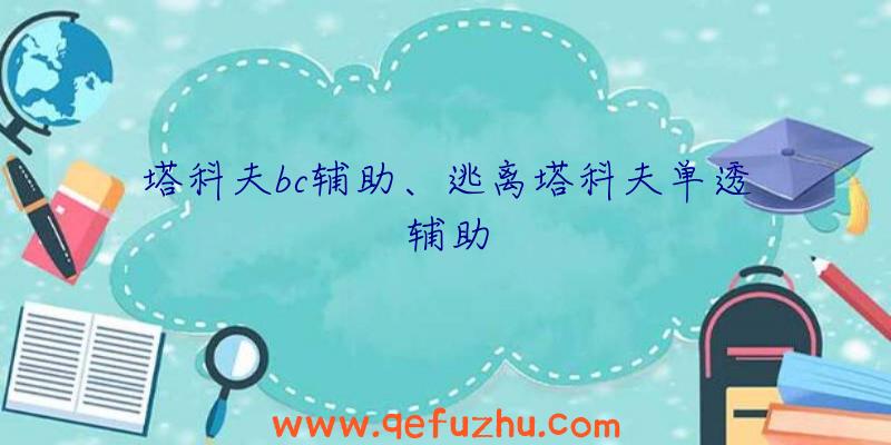 塔科夫bc辅助、逃离塔科夫单透辅助
