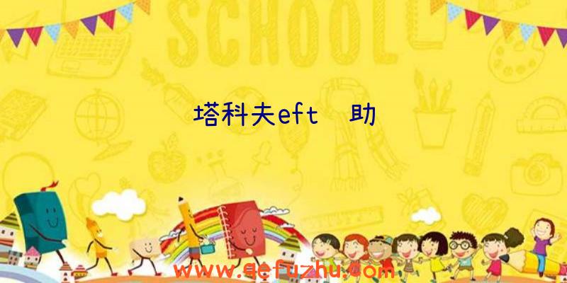 塔科夫eft辅助