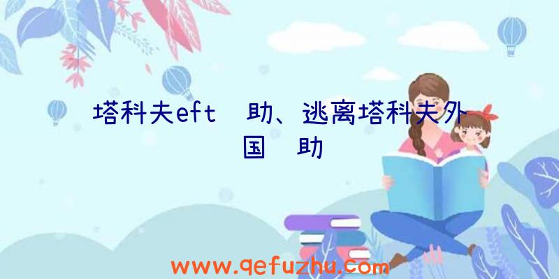 塔科夫eft辅助、逃离塔科夫外国辅助