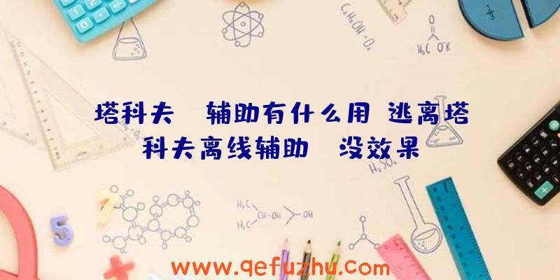 塔科夫le辅助有什么用、逃离塔科夫离线辅助TT没效果