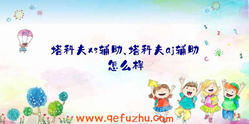 塔科夫xs辅助、塔科夫aj辅助怎么样