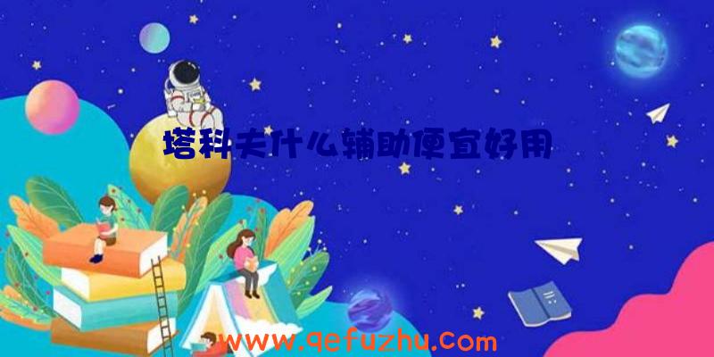 塔科夫什么辅助便宜好用
