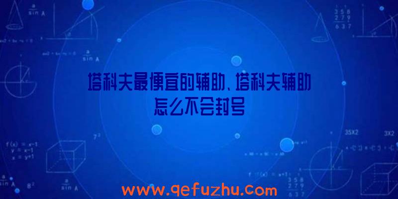 塔科夫最便宜的辅助、塔科夫辅助怎么不会封号