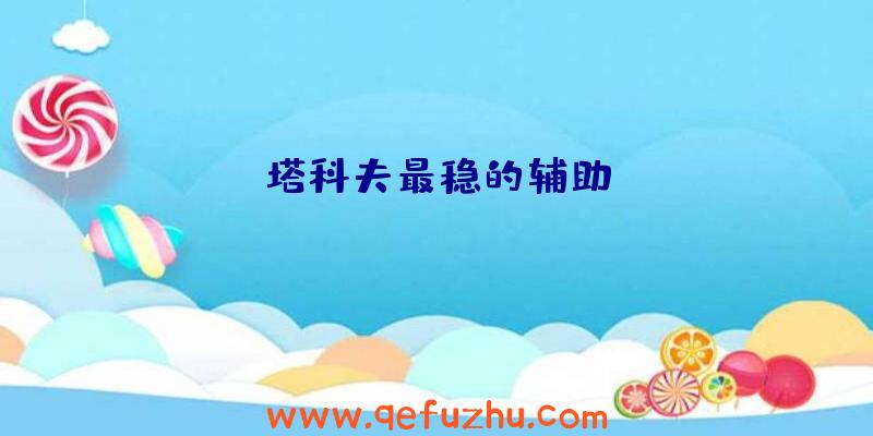 塔科夫最稳的辅助