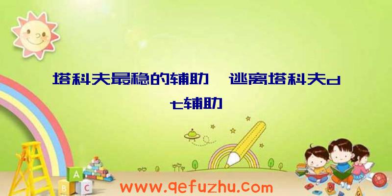 塔科夫最稳的辅助、逃离塔科夫dt辅助