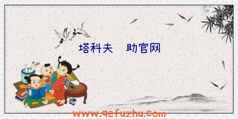 塔科夫辅助官网