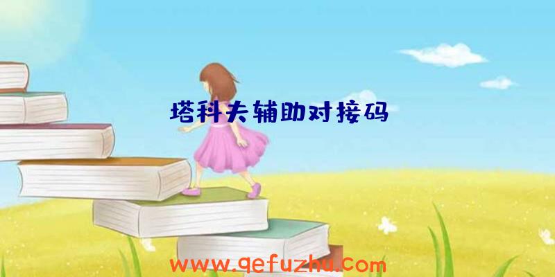 塔科夫辅助对接码