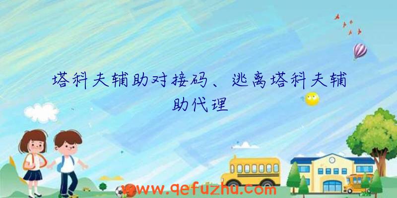 塔科夫辅助对接码、逃离塔科夫辅助代理