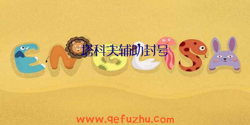 塔科夫辅助封号