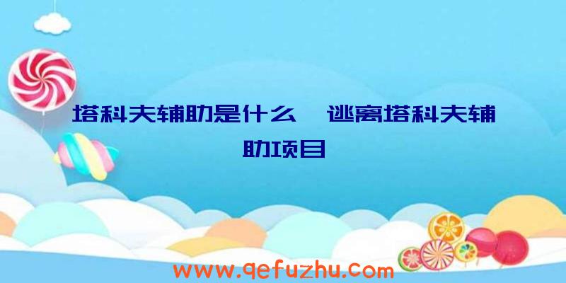 塔科夫辅助是什么、逃离塔科夫辅助项目