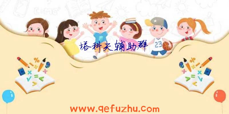 塔科夫辅助群