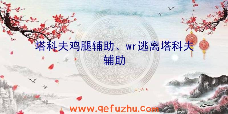 塔科夫鸡腿辅助、wr逃离塔科夫辅助
