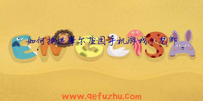 如何捕捉摩尔庄园手机游戏小龙虾