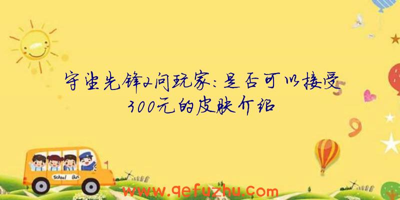 守望先锋2问玩家:是否可以接受300元的皮肤介绍