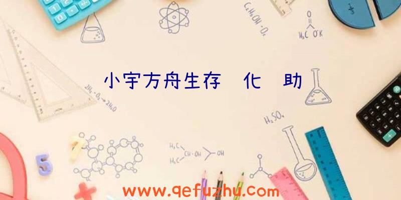 小宇方舟生存进化辅助