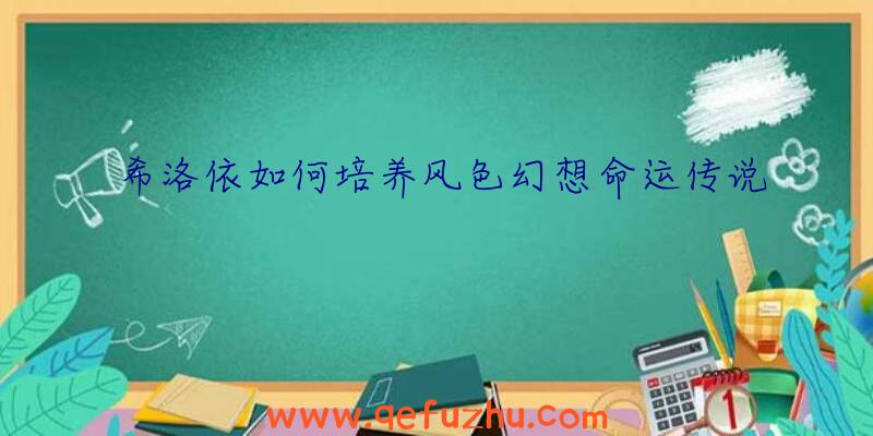 希洛依如何培养风色幻想命运传说