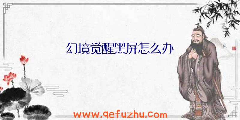 幻境觉醒黑屏怎么办
