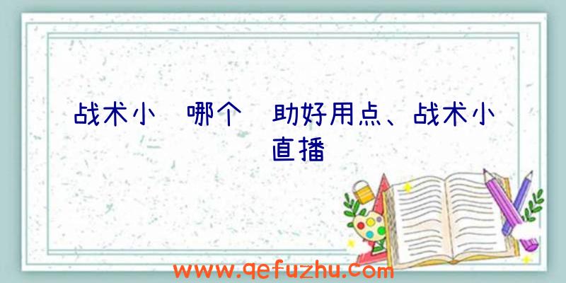 战术小队哪个辅助好用点、战术小队直播