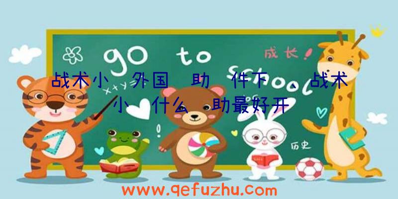 战术小队外国辅助软件下载、战术小队什么辅助最好开