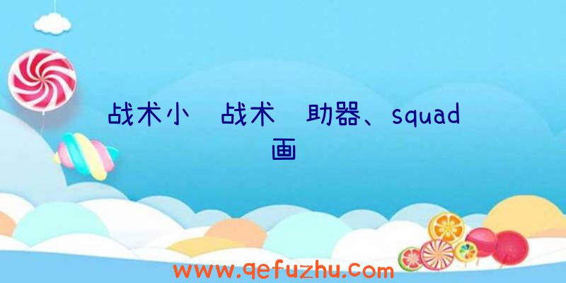 战术小队战术辅助器、squad画质