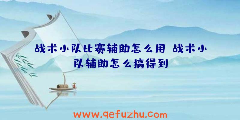 战术小队比赛辅助怎么用、战术小队辅助怎么搞得到