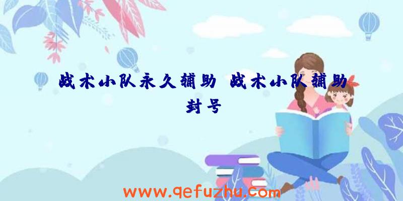 战术小队永久辅助、战术小队辅助封号