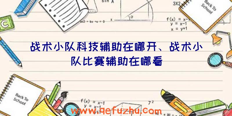 战术小队科技辅助在哪开、战术小队比赛辅助在哪看