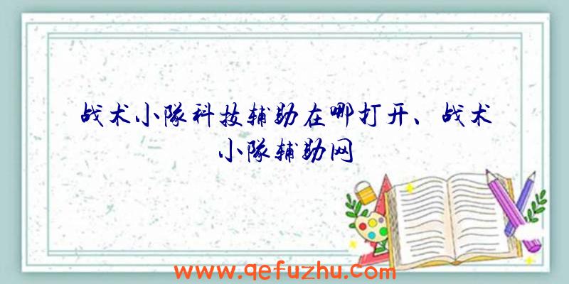 战术小队科技辅助在哪打开、战术小队辅助网