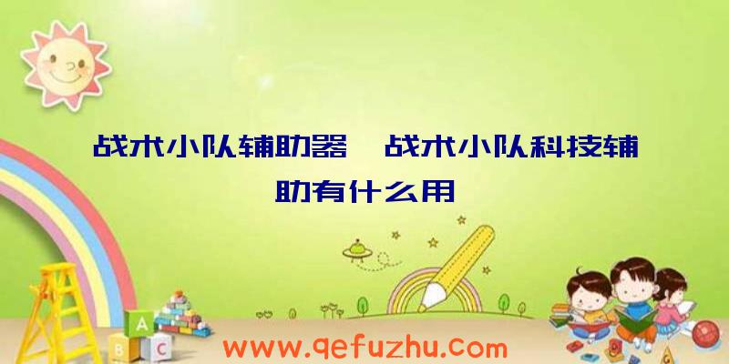战术小队辅助器、战术小队科技辅助有什么用