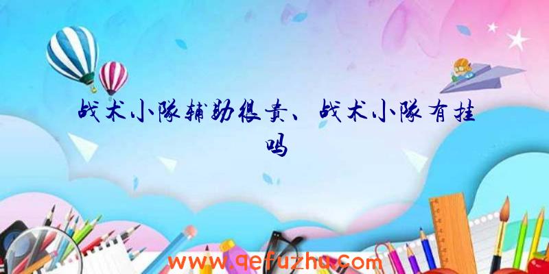 战术小队辅助很贵、战术小队有挂吗