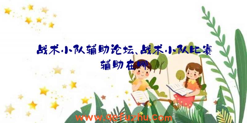 战术小队辅助论坛、战术小队比赛辅助在哪