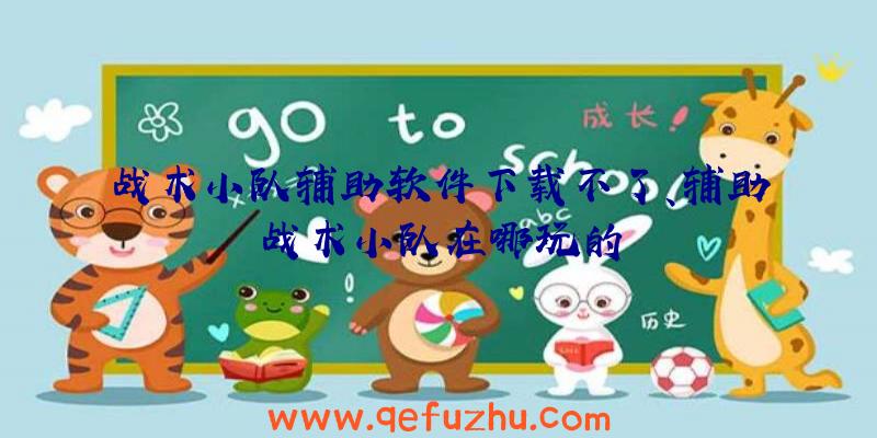 战术小队辅助软件下载不了、辅助战术小队在哪玩的