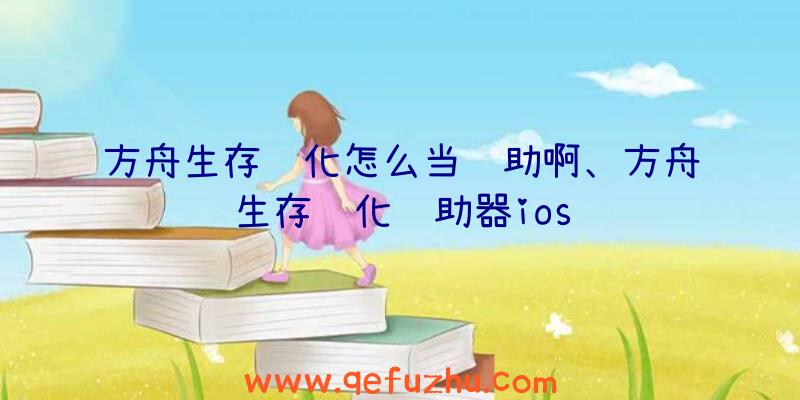 方舟生存进化怎么当辅助啊、方舟生存进化辅助器ios