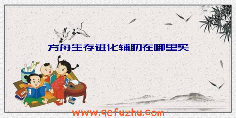 方舟生存进化辅助在哪里买