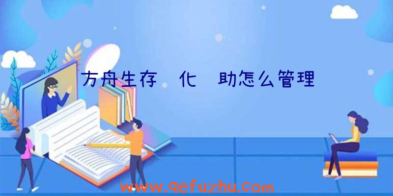 方舟生存进化辅助怎么管理