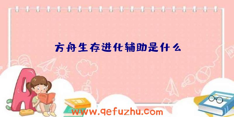 方舟生存进化辅助是什么