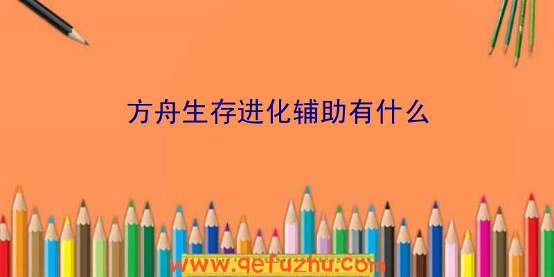 方舟生存进化辅助有什么